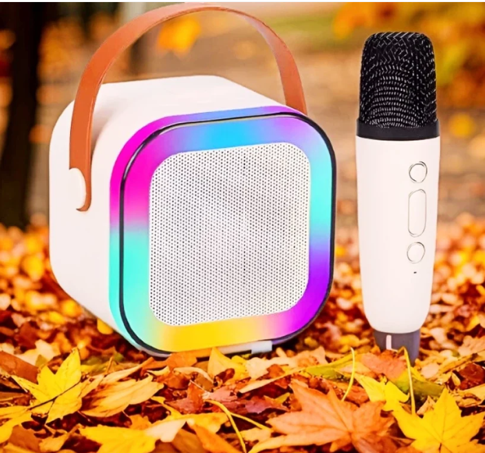 Echo Party Mini Speaker with Wireless Mic